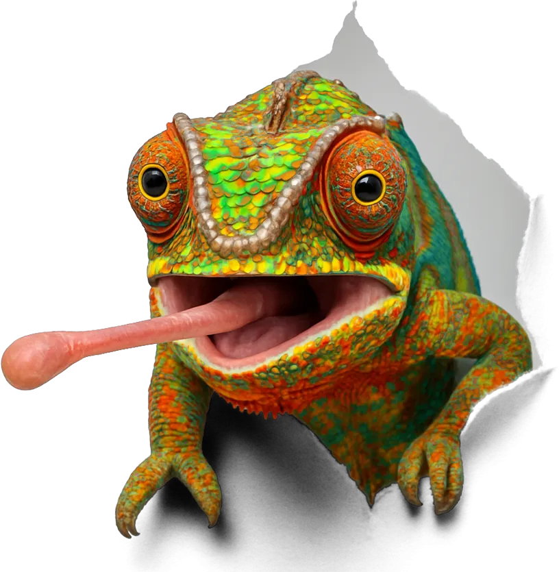 CAMALEON HOME